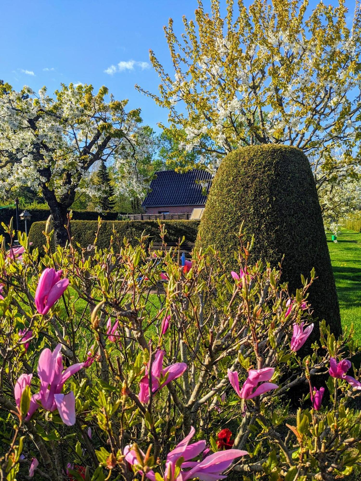 Ferienhaus Häuschen Im Grünen Jornstorf